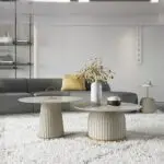 Scarlet table | Set of 2 Coffee Tables  Living Room With Marble and Gold Stainless Steel Top