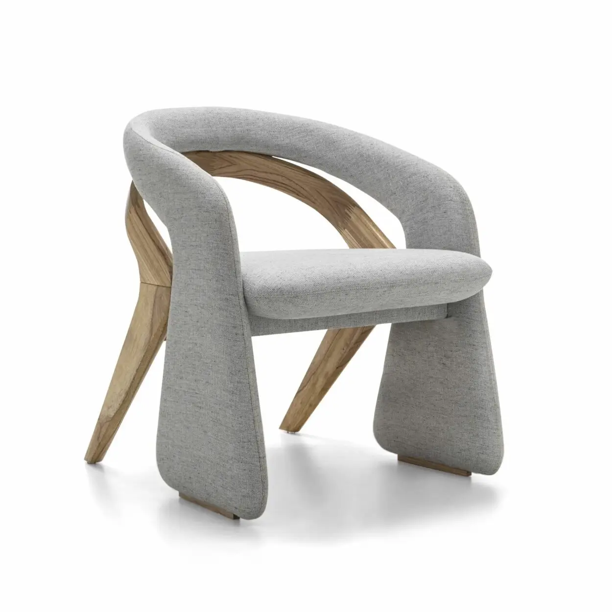 1000078264.jpg Feather Contemporary Sheesham Wood Leisure Chair - Ultimate Relaxation - Image 1