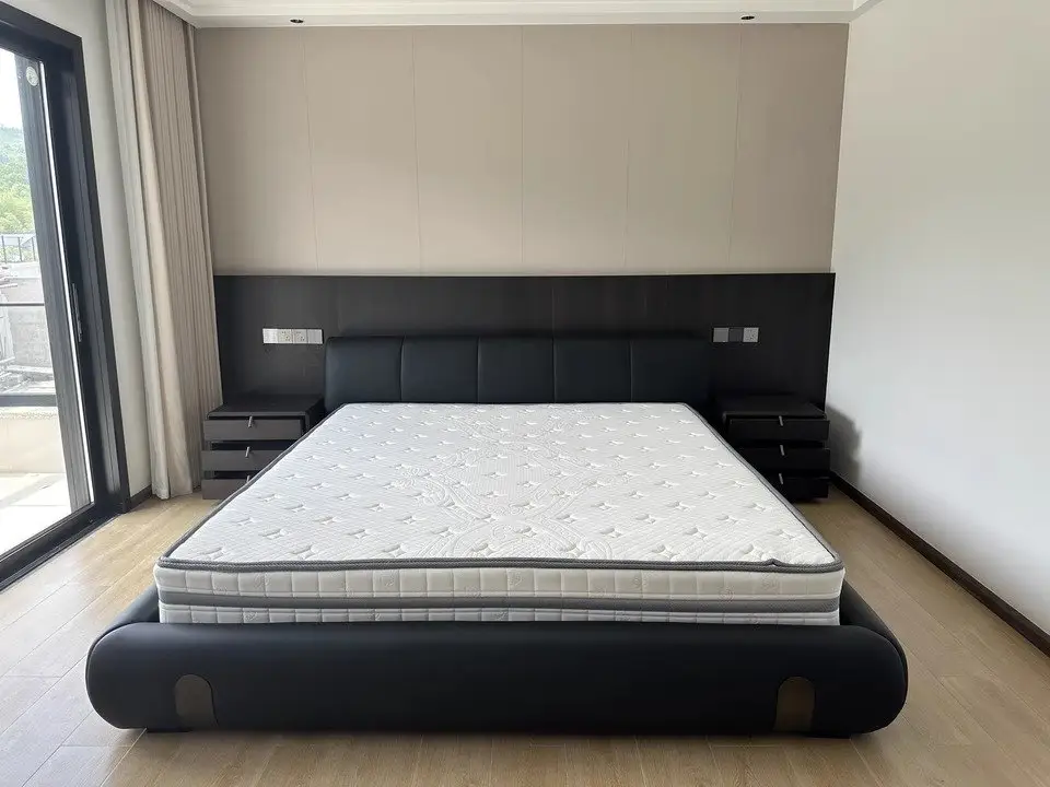 Eternia Contemporary Leatherette Upholstered Bed - Image 11