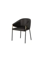 Neptune LuxeSheen Western Restaurant Dining Chair - Image 2