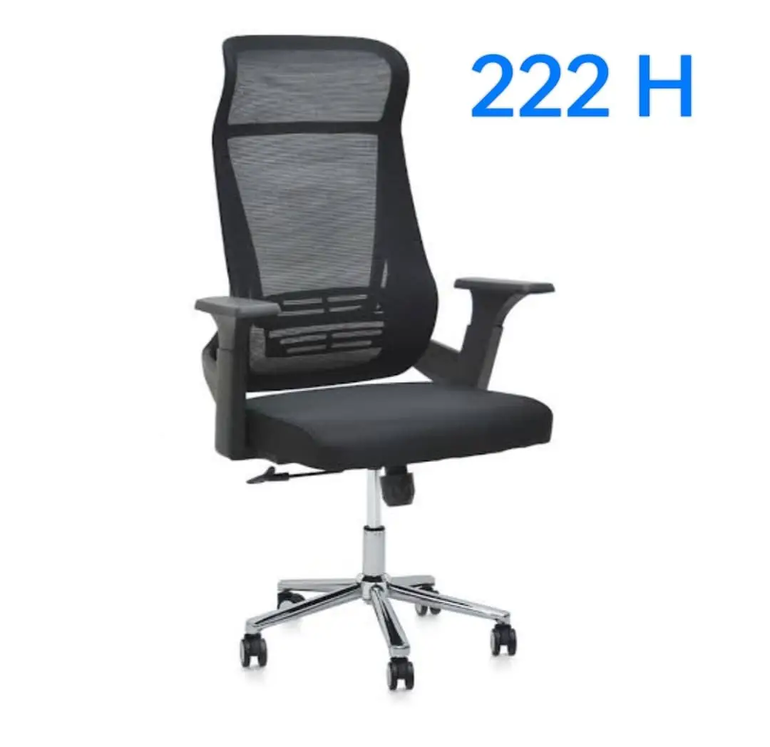 2025/06/1000185324.jpg Flyefit High Back Office Chair with Adjustable Arms Tilt Lock Mechanism Mesh Office Arm Chair in Black Color - Image 1