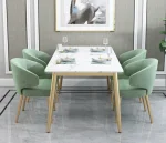 Eucalyptus European Design Dining Chair - Image 6